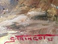 Caballo arabe blanco de G. Trincot